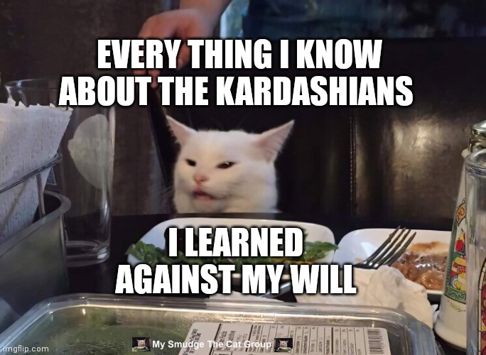  EVERY THING I KNOW ABOUT THE KARDASHIANS; I LEARNED AGAINST MY WILL | image tagged in smudge the cat | made w/ Imgflip meme maker