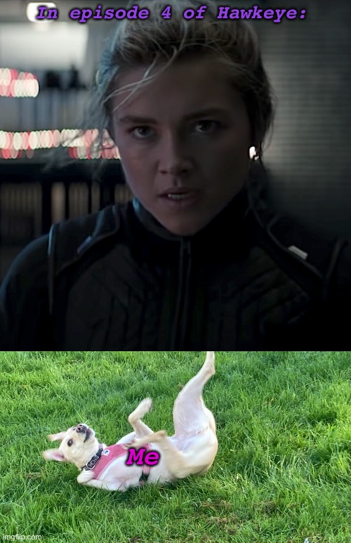 All week I have been obsessing over this | In episode 4 of Hawkeye:; Me | image tagged in doggo falling back,hawkeye,yelena belova,white widow,dog,marvel | made w/ Imgflip meme maker