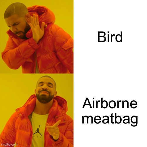 Mmm tasty | Bird; Airborne meatbag | image tagged in memes,drake hotline bling | made w/ Imgflip meme maker