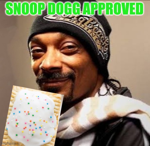 Snoop dogg high on weed | SNOOP DOGG APPROVED | image tagged in snoop dogg high on weed | made w/ Imgflip meme maker