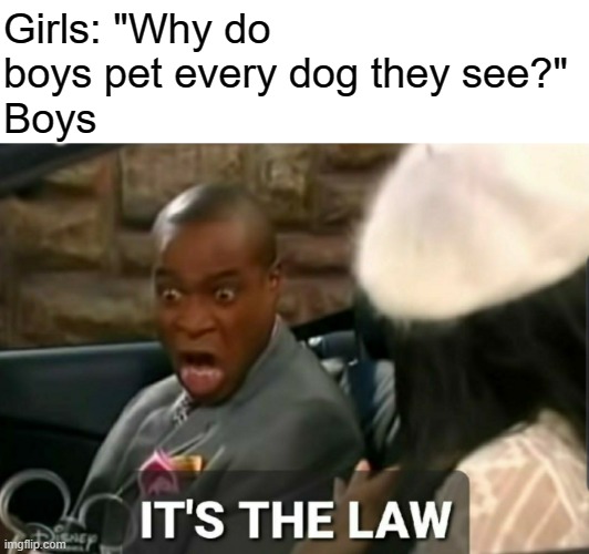 Law | Girls: "Why do boys pet every dog they see?"
Boys | image tagged in it's the law,court,dog,meme | made w/ Imgflip meme maker