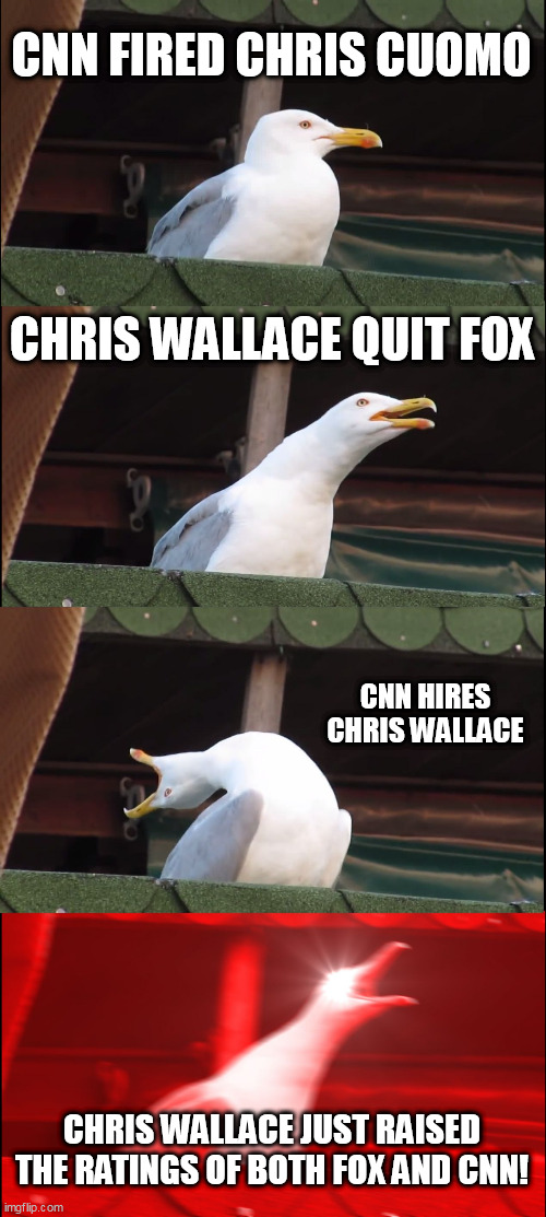 ChrisMess CNN Style | CNN FIRED CHRIS CUOMO; CHRIS WALLACE QUIT FOX; CNN HIRES CHRIS WALLACE; CHRIS WALLACE JUST RAISED THE RATINGS OF BOTH FOX AND CNN! | image tagged in memes,inhaling seagull | made w/ Imgflip meme maker