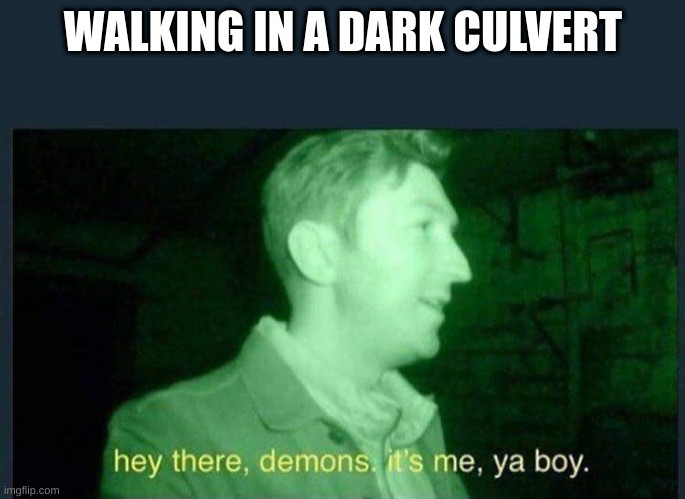 hey there , demons it's me , ya boy. | WALKING IN A DARK CULVERT | image tagged in hey there demons it's me ya boy | made w/ Imgflip meme maker