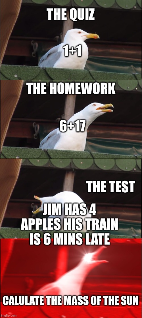 wth teacher | THE QUIZ; 1+1; THE HOMEWORK; 6+17; THE TEST; JIM HAS 4 APPLES HIS TRAIN IS 6 MINS LATE; CALULATE THE MASS OF THE SUN | image tagged in memes,inhaling seagull | made w/ Imgflip meme maker