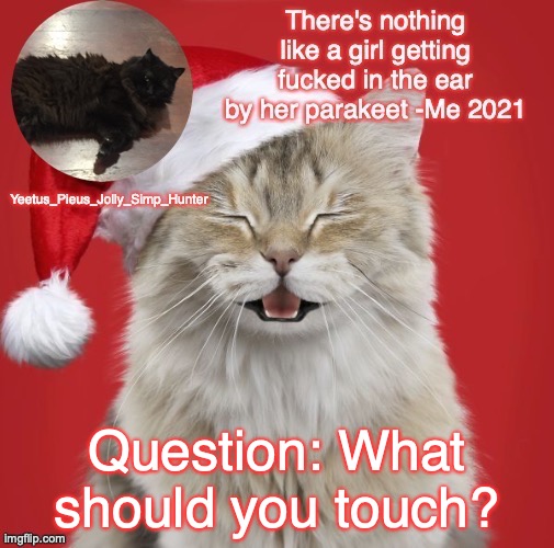 Christmas Template | Question: What should you touch? | image tagged in christmas template | made w/ Imgflip meme maker