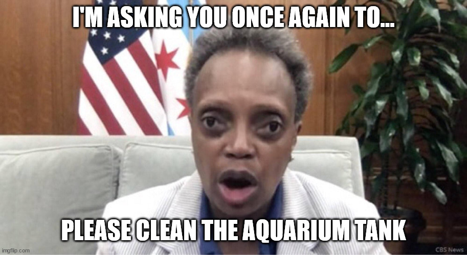 Please clean the tank |  I'M ASKING YOU ONCE AGAIN TO... PLEASE CLEAN THE AQUARIUM TANK | image tagged in mayor lori lightfoot | made w/ Imgflip meme maker