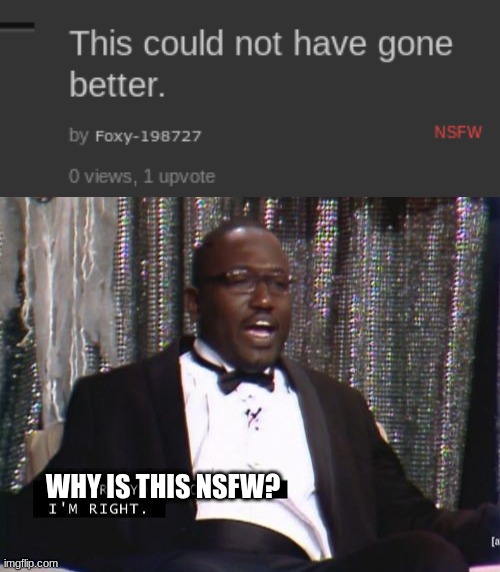 is it bc of that one tag i put down? | WHY IS THIS NSFW? | image tagged in why are you booing me i'm right | made w/ Imgflip meme maker