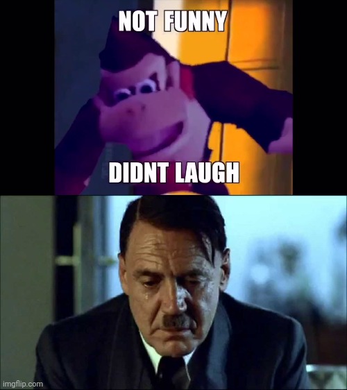 image tagged in not funny didn't laugh,sad hitler | made w/ Imgflip meme maker