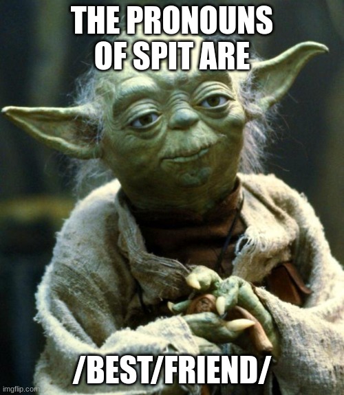 best friend | THE PRONOUNS OF SPIT ARE; /BEST/FRIEND/ | image tagged in memes,star wars yoda | made w/ Imgflip meme maker