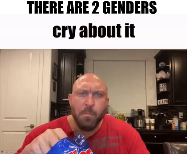 Cry About It | THERE ARE 2 GENDERS | image tagged in cry about it | made w/ Imgflip meme maker