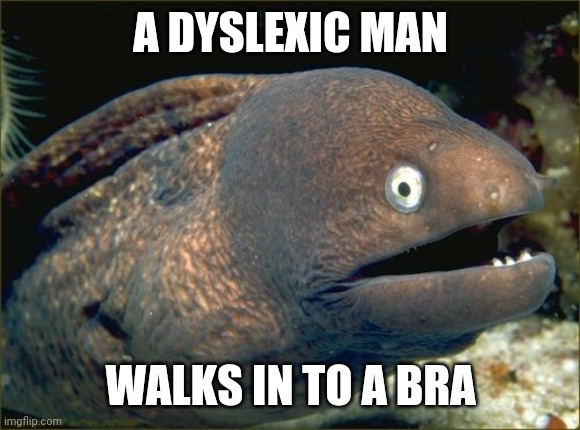 A dyslexic man.... |  A DYSLEXIC MAN; WALKS IN TO A BRA | image tagged in memes,bad joke eel,dyslexia,corny joke,bra | made w/ Imgflip meme maker