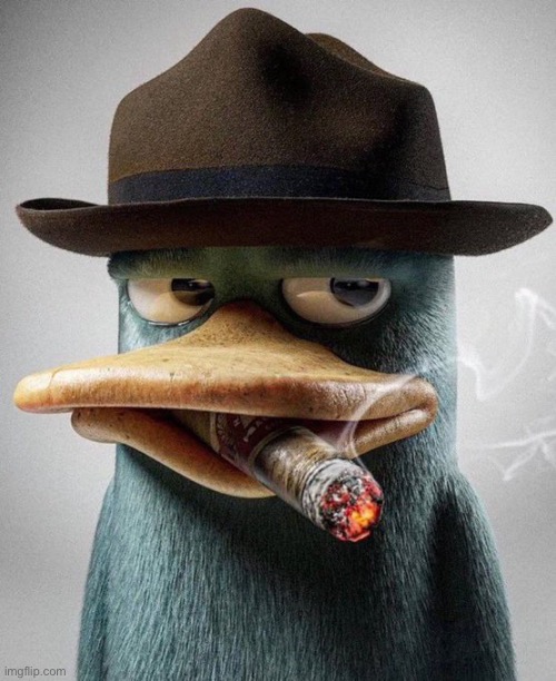 Prrrrrrr | image tagged in perry the platypus,rtx | made w/ Imgflip meme maker
