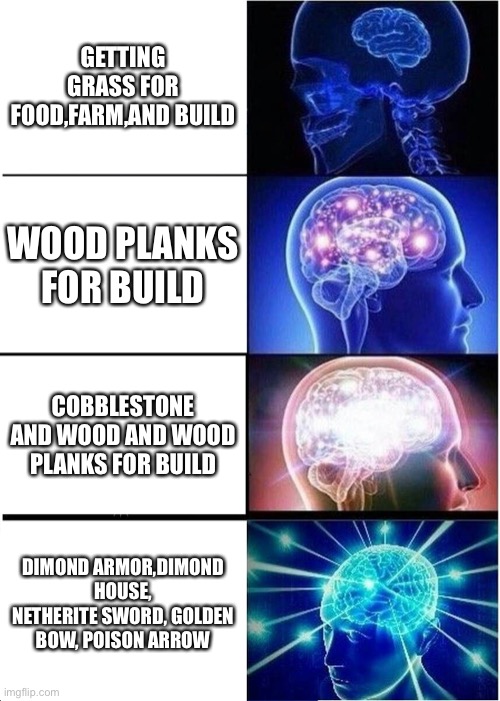 Minecraft noob to Minecraft god | GETTING GRASS FOR FOOD,FARM,AND BUILD; WOOD PLANKS FOR BUILD; COBBLESTONE AND WOOD AND WOOD PLANKS FOR BUILD; DIMOND ARMOR,DIMOND HOUSE, NETHERITE SWORD, GOLDEN BOW, POISON ARROW | image tagged in memes,expanding brain | made w/ Imgflip meme maker
