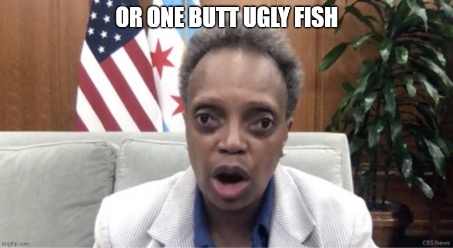 Mayor Lori Lightfoot | OR ONE BUTT UGLY FISH | image tagged in mayor lori lightfoot | made w/ Imgflip meme maker