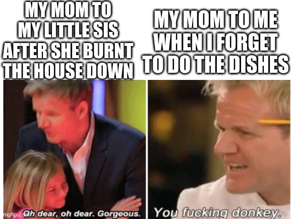 this is so reletable | MY MOM TO MY LITTLE SIS AFTER SHE BURNT THE HOUSE DOWN; MY MOM TO ME WHEN I FORGET TO DO THE DISHES | image tagged in memes,blank white template,funny,relatable,chef gordon ramsay | made w/ Imgflip meme maker