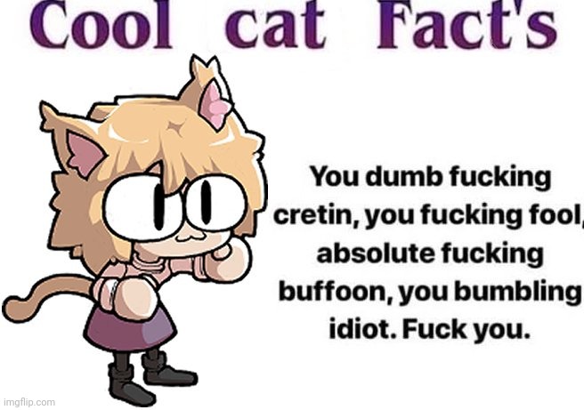 cool cat facts | image tagged in cool cat facts | made w/ Imgflip meme maker