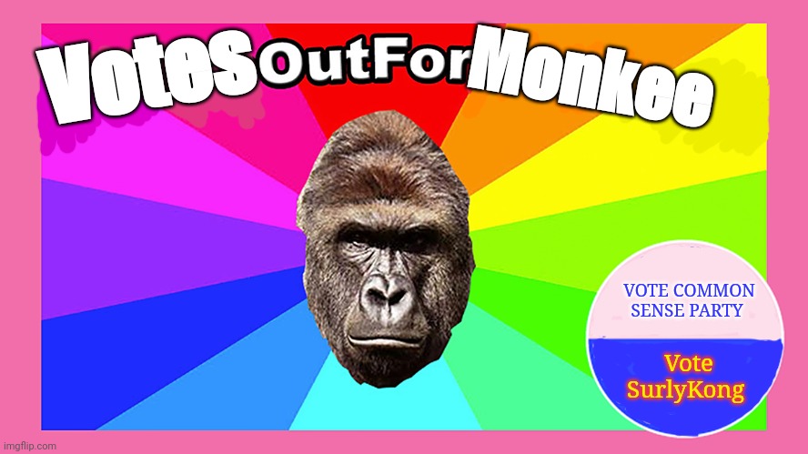 Votes out for monkee! | Monkee; Votes; VOTE COMMON SENSE PARTY; Vote SurlyKong | image tagged in votes out for monkee,common sense,party,surlykong for president | made w/ Imgflip meme maker