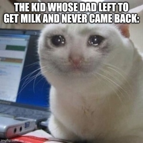 Crying cat | THE KID WHOSE DAD LEFT TO GET MILK AND NEVER CAME BACK: | image tagged in crying cat | made w/ Imgflip meme maker