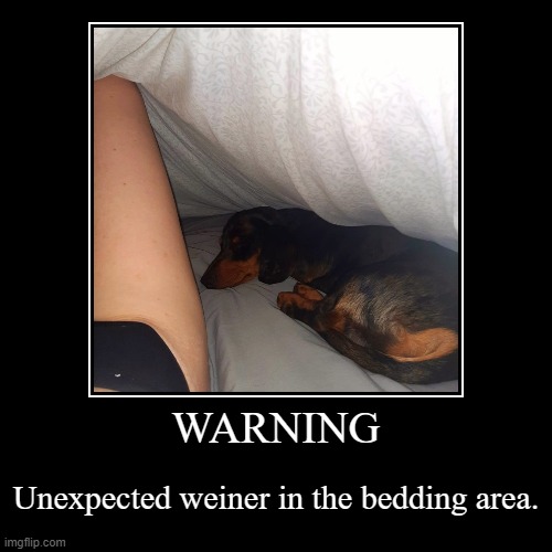 Weiner | image tagged in funny,demotivationals | made w/ Imgflip demotivational maker