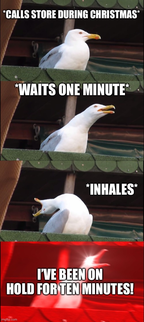 Working retail | *CALLS STORE DURING CHRISTMAS*; *WAITS ONE MINUTE*; *INHALES*; I’VE BEEN ON HOLD FOR TEN MINUTES! | image tagged in memes,inhaling seagull,retail | made w/ Imgflip meme maker