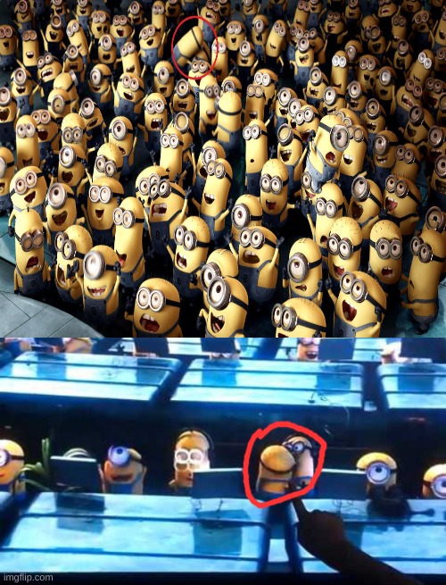 its the same two minions, too | image tagged in memes,imgflip,funny,funny memes,minions | made w/ Imgflip meme maker