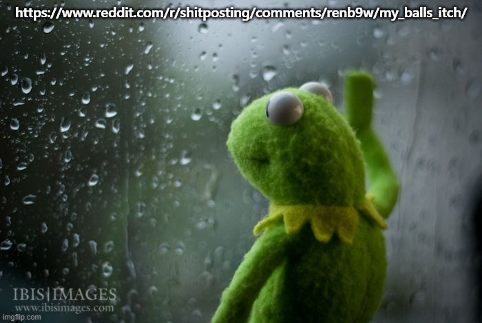 super sad :'( | https://www.reddit.com/r/shitposting/comments/renb9w/my_balls_itch/ | image tagged in kermit window | made w/ Imgflip meme maker