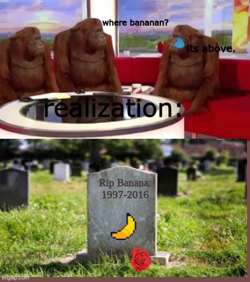 banana. | where bananan? its above. realization:; Rip Banana: 1997-2016 | image tagged in where monkey | made w/ Imgflip meme maker