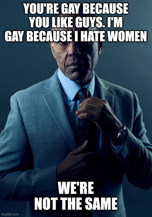 We are not the same | YOU'RE GAY BECAUSE YOU LIKE GUYS. I'M GAY BECAUSE I HATE WOMEN WE'RE NOT THE SAME | image tagged in we are not the same | made w/ Imgflip meme maker