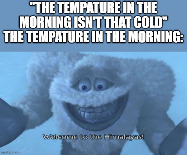 You won't need your blanket, dear | "THE TEMPATURE IN THE MORNING ISN'T THAT COLD"
THE TEMPATURE IN THE MORNING: | image tagged in welcome to the himalayas | made w/ Imgflip meme maker