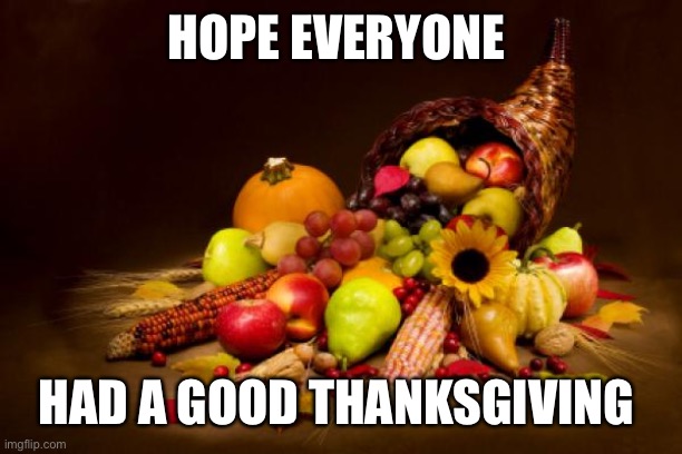 Thanksgiving | HOPE EVERYONE; HAD A GOOD THANKSGIVING | image tagged in thanksgiving | made w/ Imgflip meme maker