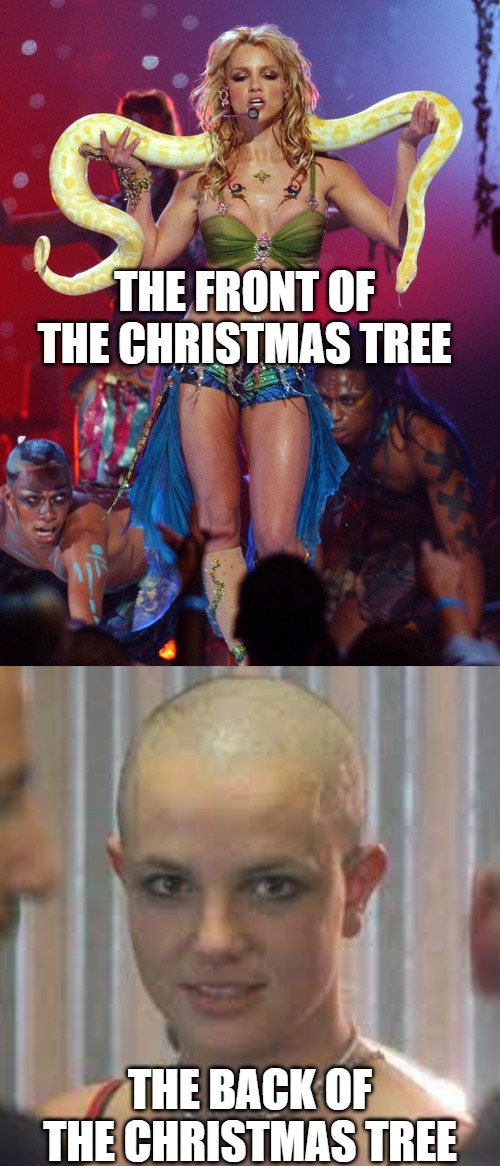 THE FRONT OF THE CHRISTMAS TREE; THE BACK OF THE CHRISTMAS TREE | image tagged in defationary | made w/ Imgflip meme maker