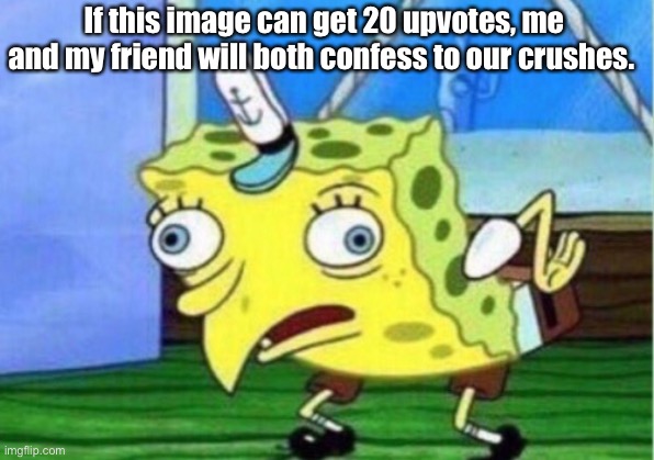 We will actually do this tho | If this image can get 20 upvotes, me and my friend will both confess to our crushes. | image tagged in memes,mocking spongebob,fun,crush | made w/ Imgflip meme maker