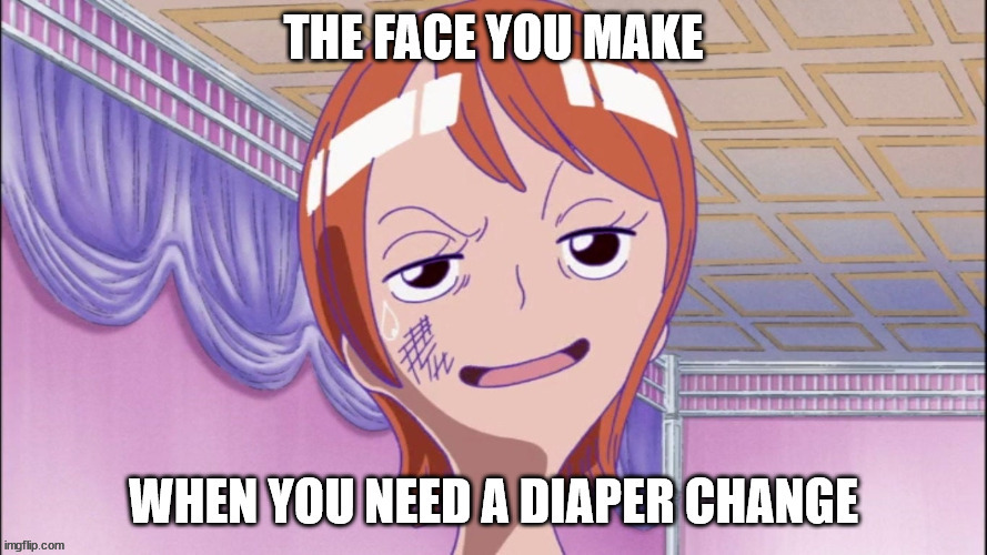 Nami Needs a Diaper Change | image tagged in onepiece,funny meme | made w/ Imgflip meme maker