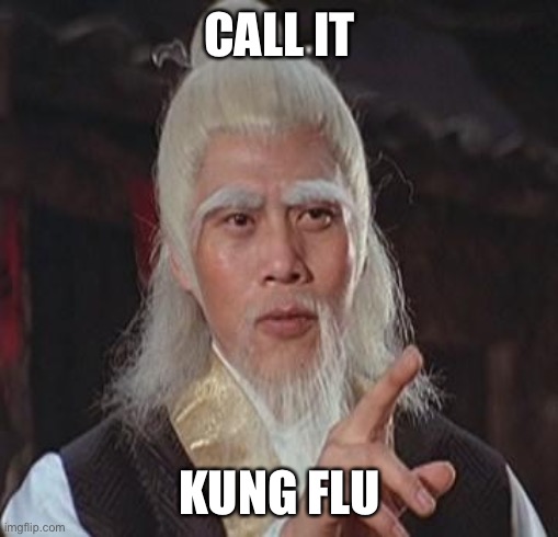 Wise Kung Fu Master | CALL IT KUNG FLU | image tagged in wise kung fu master | made w/ Imgflip meme maker