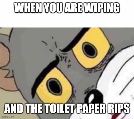 Uh oh | WHEN YOU ARE WIPING; AND THE TOILET PAPER RIPS | image tagged in tom cat unsettled close up,warm,oh no | made w/ Imgflip meme maker
