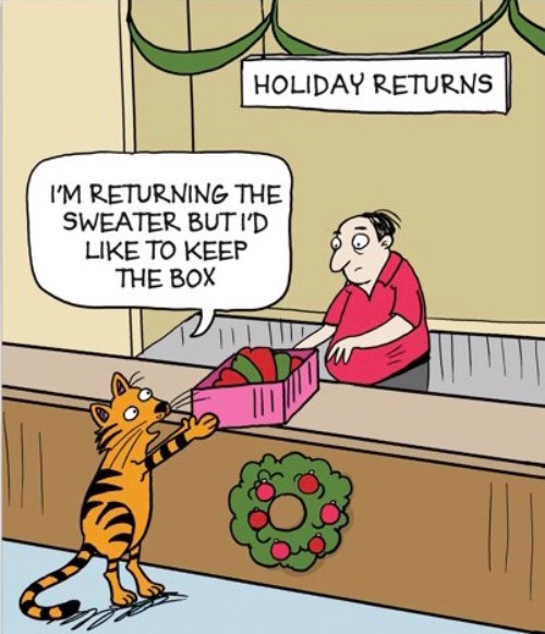 Better to Give Your Cat the Gift of Nothing | image tagged in funny memes,comics/cartoons | made w/ Imgflip meme maker
