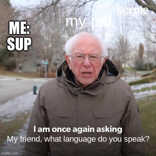 Bernie I Am Once Again Asking For Your Support | my pal; ME: SUP; My friend, what language do you speak? | image tagged in memes,bernie i am once again asking for your support | made w/ Imgflip meme maker
