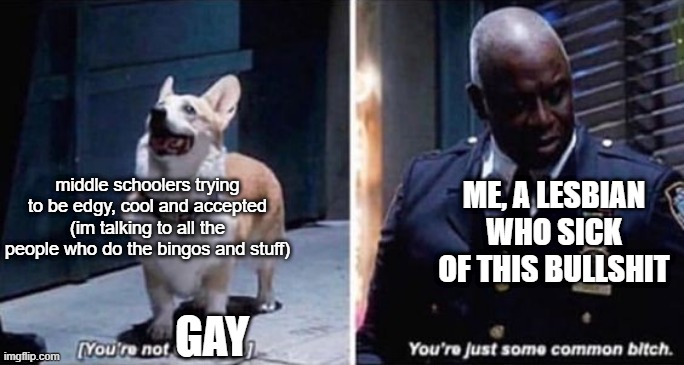 facts- (if your offended this is you) | middle schoolers trying to be edgy, cool and accepted (im talking to all the people who do the bingos and stuff); ME, A LESBIAN WHO SICK OF THIS BULLSHIT; GAY | image tagged in lgbtq,callout,captain holt,cheddar,corgi | made w/ Imgflip meme maker