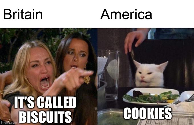 Woman Yelling At Cat | Britain; America; IT’S CALLED BISCUITS; COOKIES | image tagged in memes,woman yelling at cat | made w/ Imgflip meme maker