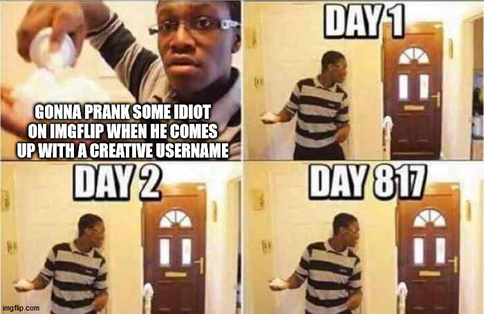i am stupid :) | GONNA PRANK SOME IDIOT ON IMGFLIP WHEN HE COMES UP WITH A CREATIVE USERNAME | image tagged in gonna prank x when x | made w/ Imgflip meme maker