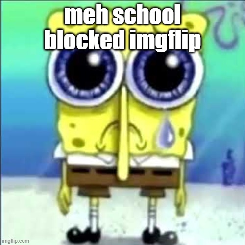 Sad Spongebob | meh school blocked imgflip | image tagged in sad spongebob | made w/ Imgflip meme maker