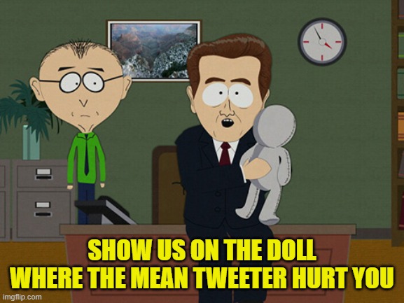 South Park Doll | SHOW US ON THE DOLL WHERE THE MEAN TWEETER HURT YOU | image tagged in south park doll | made w/ Imgflip meme maker