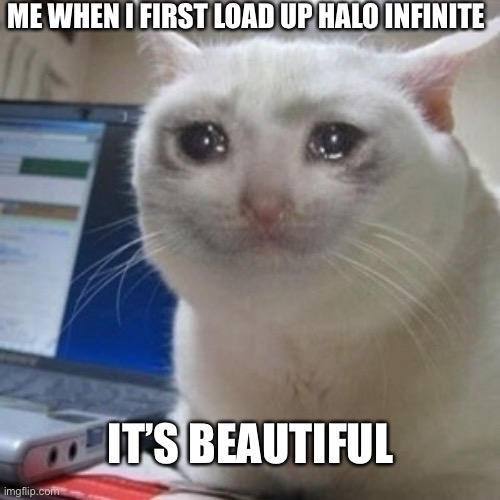 This is very true | ME WHEN I FIRST LOAD UP HALO INFINITE; IT’S BEAUTIFUL | image tagged in crying cat | made w/ Imgflip meme maker
