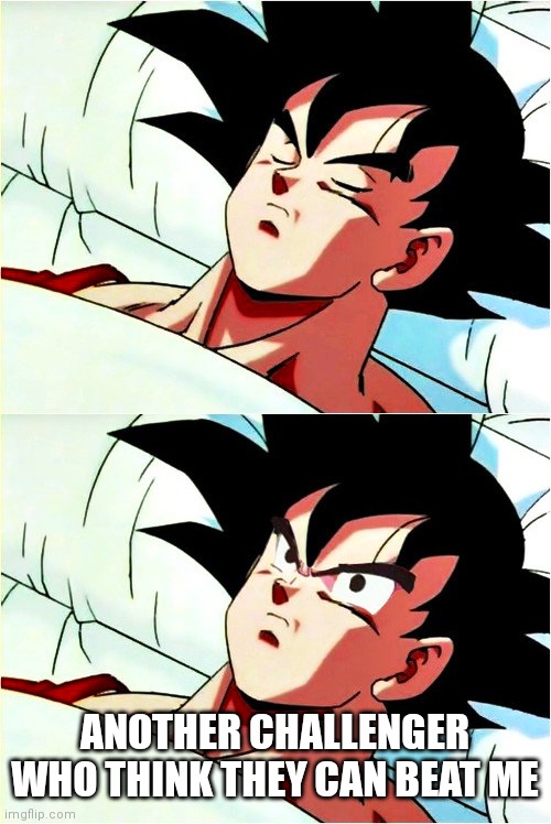 goku sleeping wake up | ANOTHER CHALLENGER WHO THINK THEY CAN BEAT ME | image tagged in goku sleeping wake up | made w/ Imgflip meme maker
