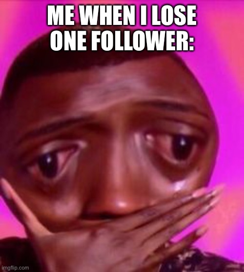 sO sAd | ME WHEN I LOSE ONE FOLLOWER: | image tagged in when you litterally call your mom gay for ragin | made w/ Imgflip meme maker