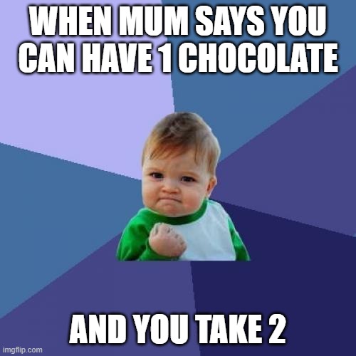 Success Kid | WHEN MUM SAYS YOU CAN HAVE 1 CHOCOLATE; AND YOU TAKE 2 | image tagged in memes,success kid | made w/ Imgflip meme maker