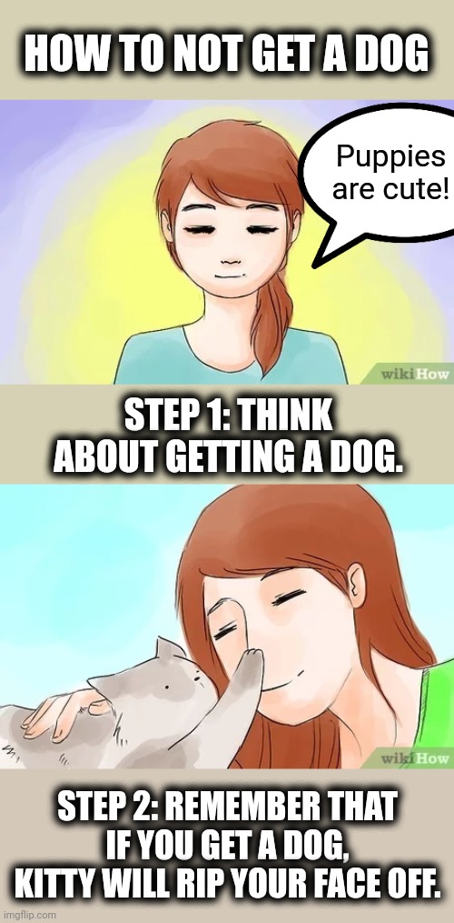 I've sworn eternal jihad against "WikiHow"! | HOW TO NOT GET A DOG; Puppies are cute! STEP 1: THINK ABOUT GETTING A DOG. STEP 2: REMEMBER THAT IF YOU GET A DOG, KITTY WILL RIP YOUR FACE OFF. | image tagged in memes,wikihow,dog | made w/ Imgflip meme maker