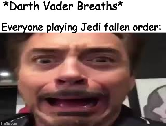 Star wars meme | *Darth Vader Breaths*; Everyone playing Jedi fallen order: | image tagged in memes,funny | made w/ Imgflip meme maker