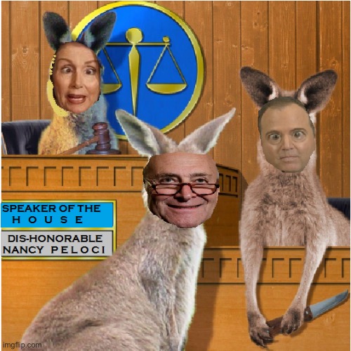 KANGAROO COURT | image tagged in kangaroo court | made w/ Imgflip meme maker