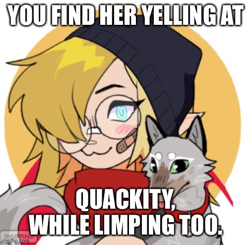 Dsmp rp. Note: Sorry I do so much dsmp rps. | YOU FIND HER YELLING AT; QUACKITY, WHILE LIMPING TOO. | image tagged in why are you reading this,stop reading the tags,dream smp | made w/ Imgflip meme maker